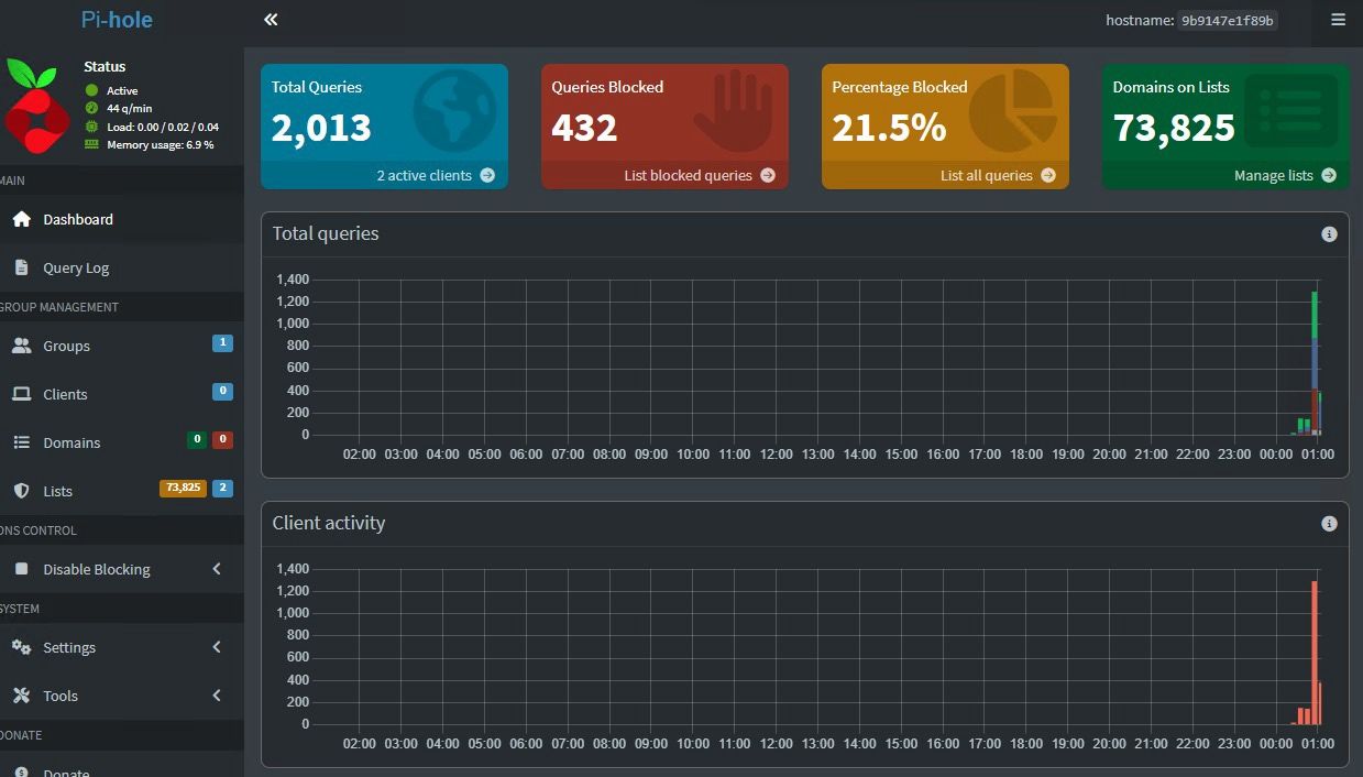Pi-hole admin dashboard showing DNS statistics